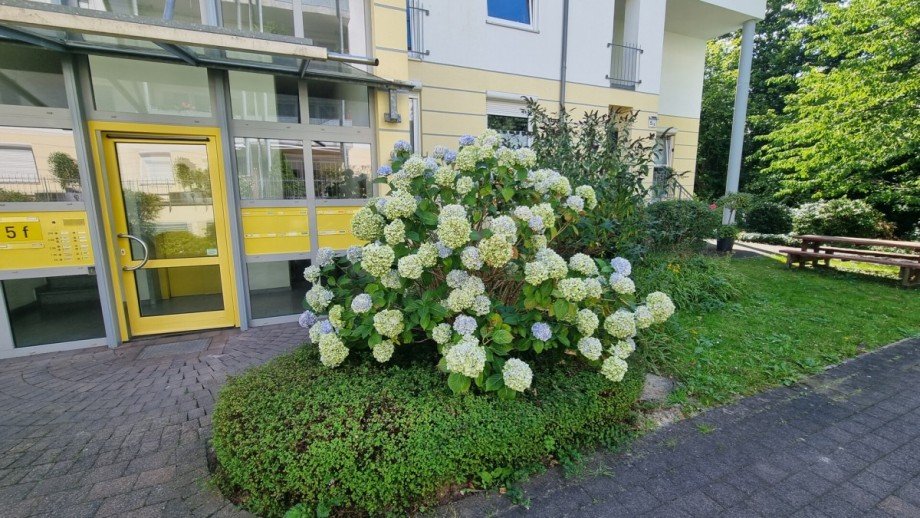 Haupteingang Etagenwohnung Bremen