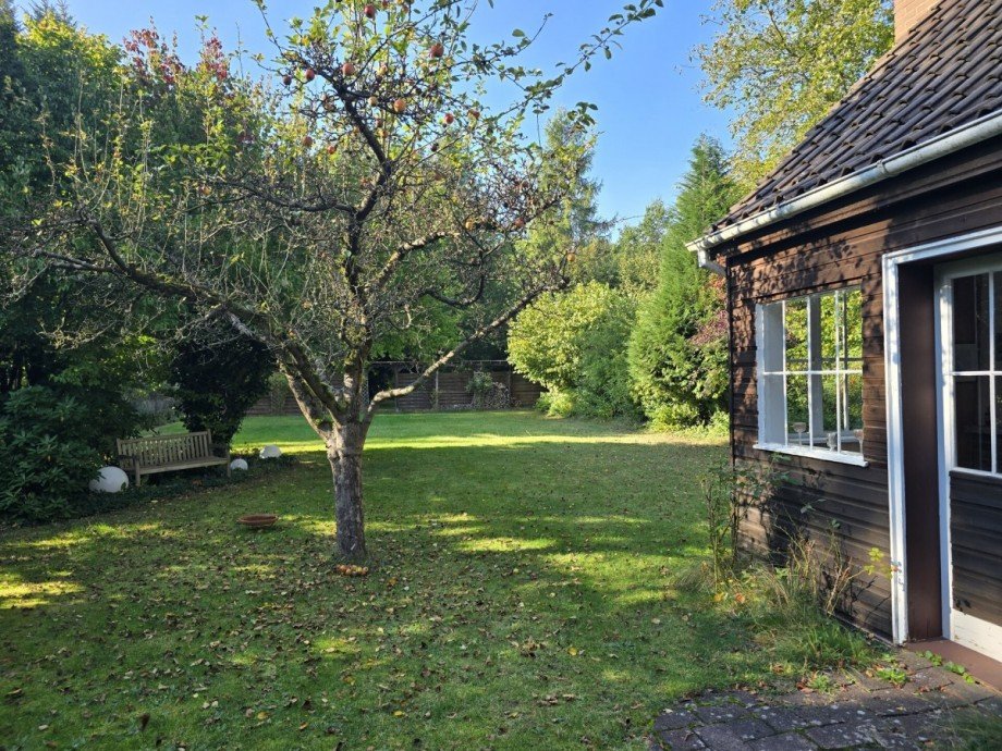 Garten Einfamilienhaus Celle / Wietzenbruch
